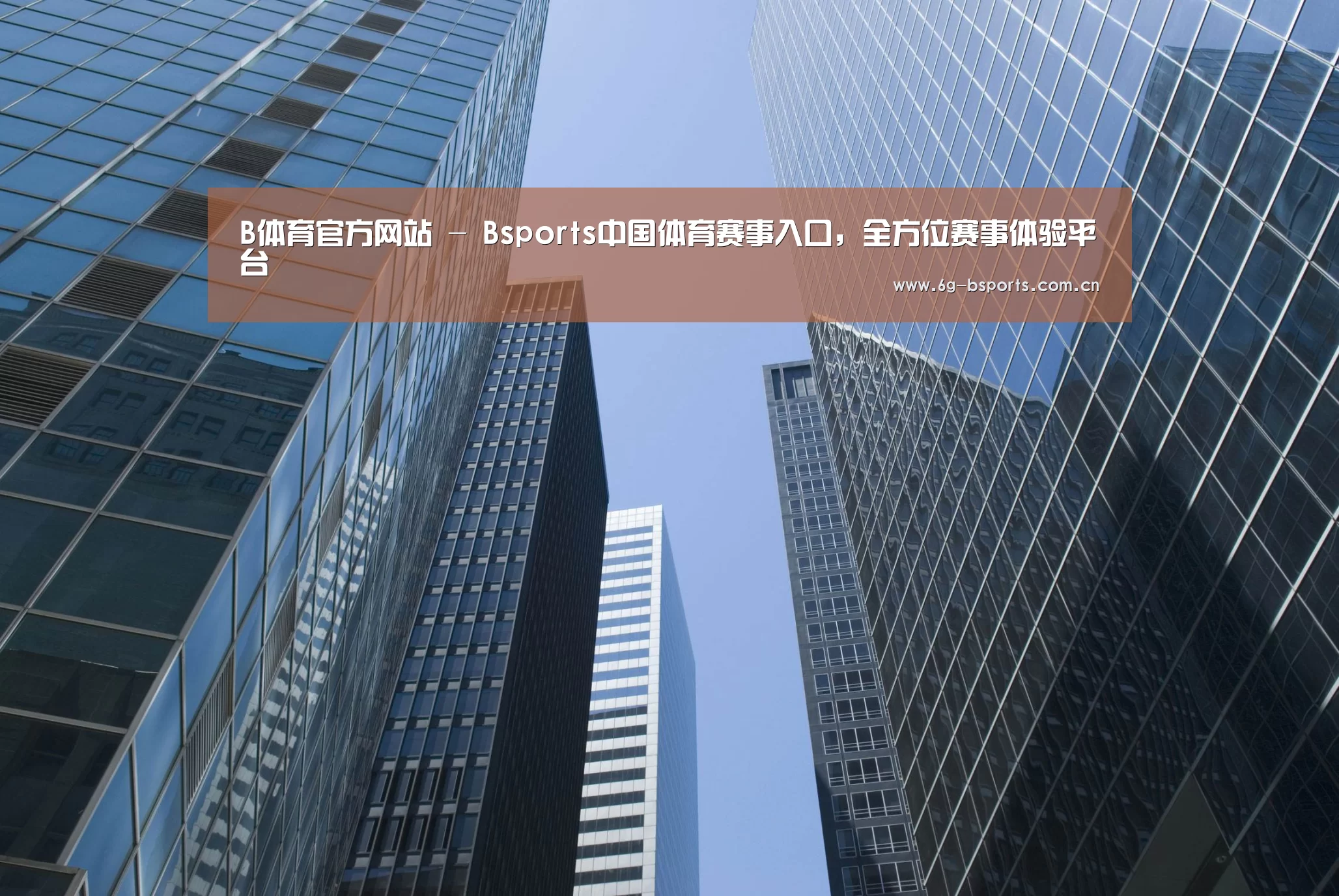 B体育公司简介 