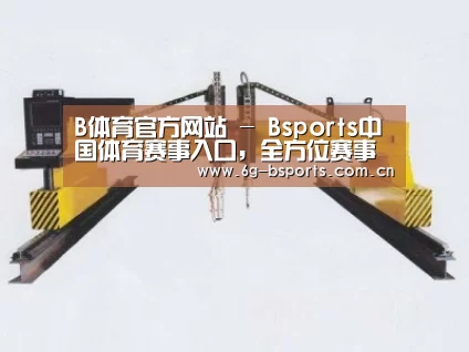 产品名称十七